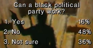 Can A Black Political Party Work?