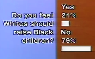 Can Whites  Raise Black Children?